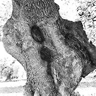 <em>A Map Pattern</em>, 2018, Printed on 13"x19" archival paper, B/W photograph