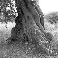 <em>Marine Air</em>, 2018, Printed on 13"x19" archival paper, B/W photograph